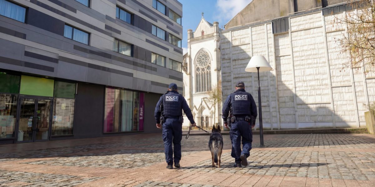 474245f8-2292-4f7e-977c-305aa445f773