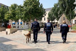 Tranquillité publique, incivilités et sécurité